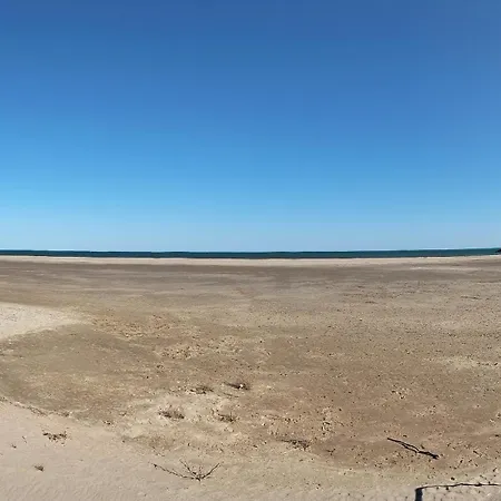 Entre Terre Et *